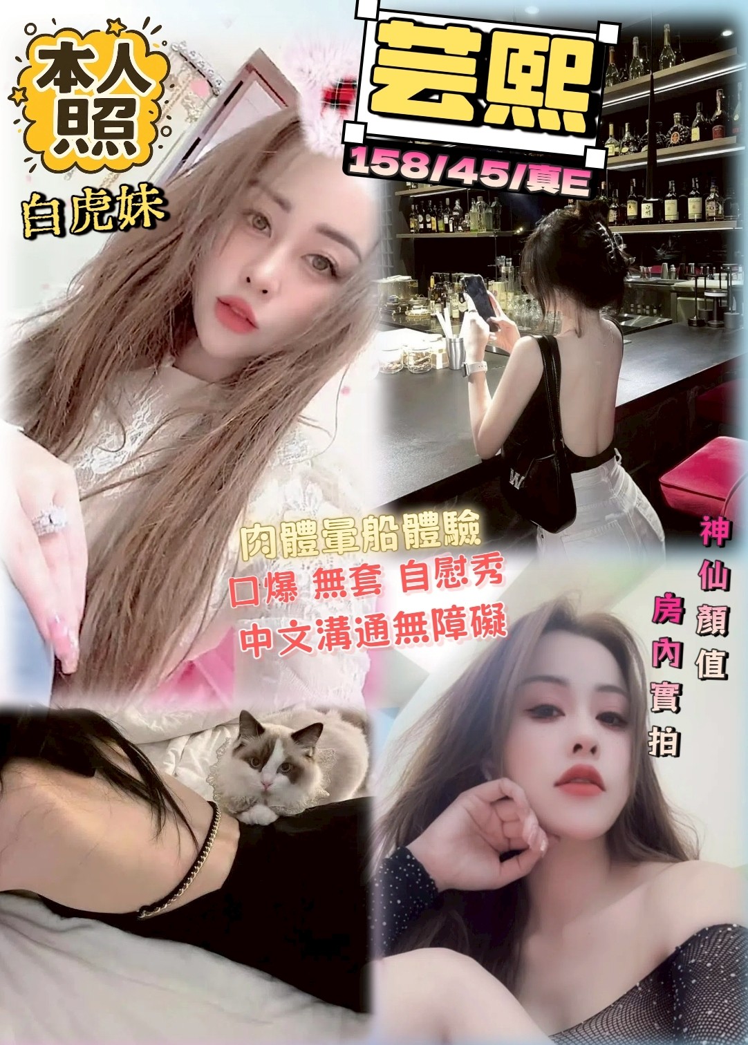 台中北區定點